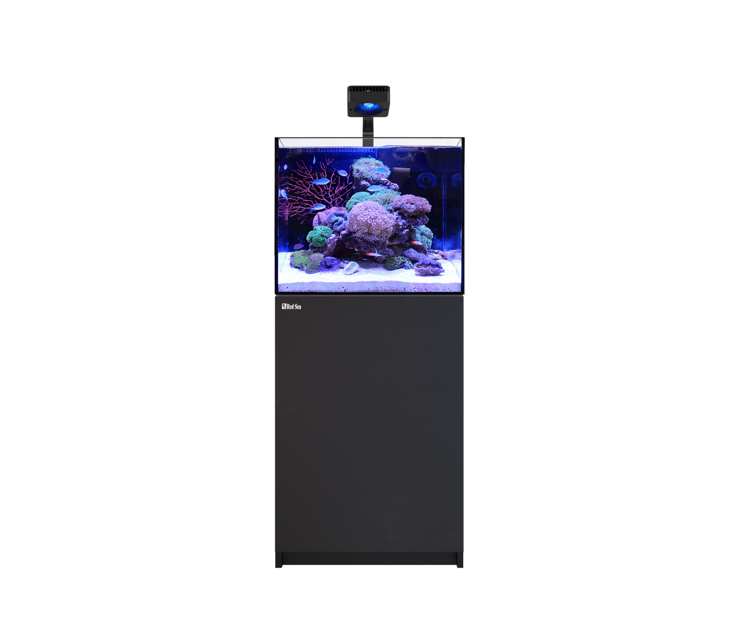 Red Sea REEFER 170 G3 Deluxe - Black (Incl. 1 X RL115 & Mounting Arm)