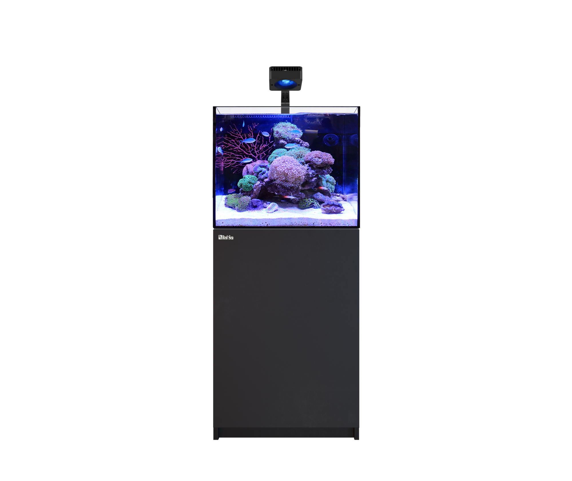 Red Sea REEFER 170 G3 Deluxe - Black (Incl. 1 X RL115 & Mounting Arm)