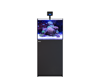 Red Sea REEFER 170 G3 Deluxe - Black (Incl. 1 X RL115 & Mounting Arm)