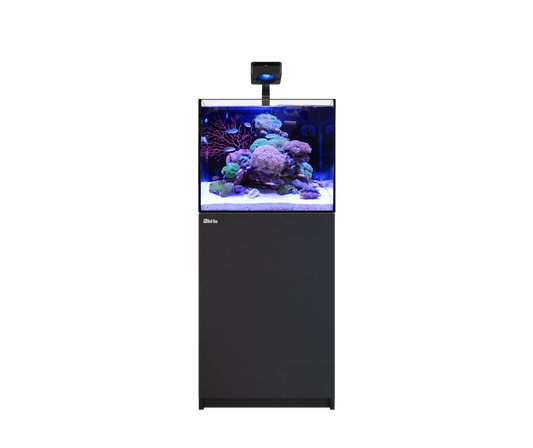 Red Sea REEFER 170 G3 Deluxe - Black (Incl. 1 X RL115 & Mounting Arm)