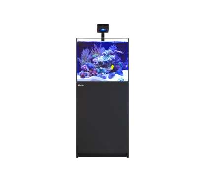 Red Sea REEFER 200 G3 Deluxe - Black (Incl. 1 X RL115 & Mounting Arm)