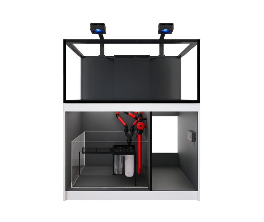 Red Sea REEFER 425 G3 Deluxe - White (Incl. 2 X RL170 & Mounting Arms)