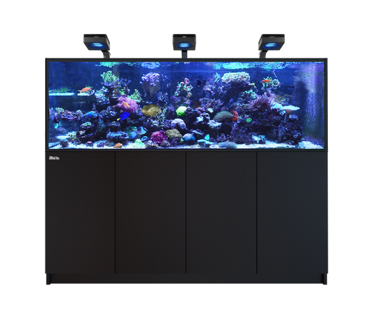 Red Sea REEFER 750 G3 Deluxe - Black (incl. 3 X RL170 & arms)