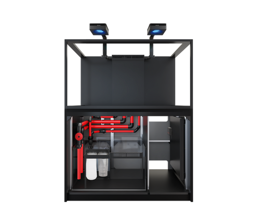 Red Sea REEFER S-550 G3 Deluxe - Black (incl. 2 X RL170 & arms)