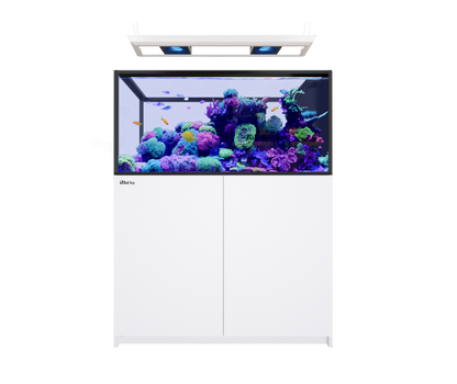 Red Sea REEFER Peninsula 500 G3 Deluxe - White (incl. 2 X RL170 & pendant)