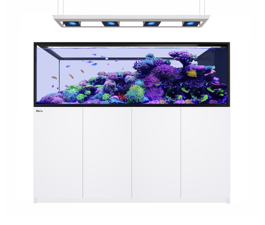 Red Sea REEFER Peninsula S 950 G3 Deluxe - White (inc. 4 X RL170 & pendant)