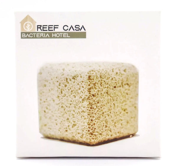 Reef Casa Bacteria Hotel Block