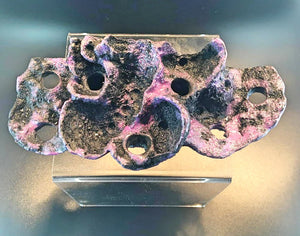 AquaRocks 7 Hole magnetic frag rock montipora display