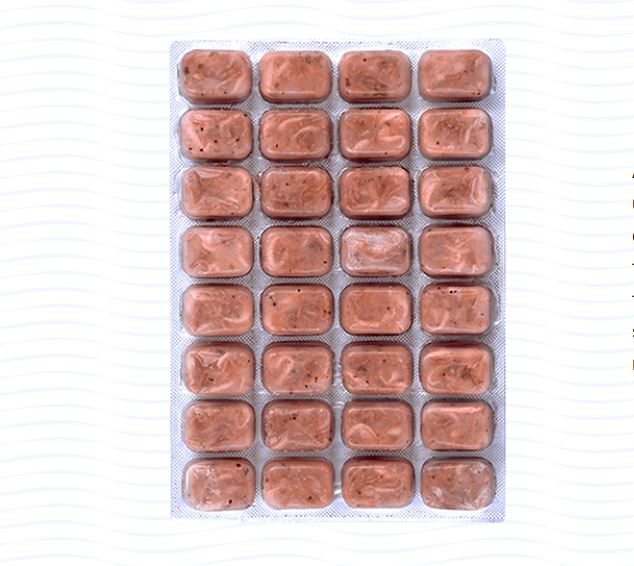 Hikari Bio-Pure Frozen Mega-Marine Angel - Cubes 3.5 oz