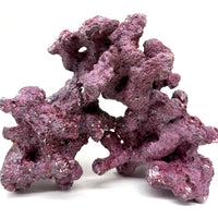 Tropic Eden Morroca Irregular Rock - Special Small - ONE Piece ( Approx 1.5lbs)