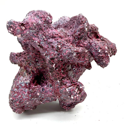 Tropic Eden Morroca Irregular Rock - Special Small - ONE Piece ( Approx 1.5lbs)