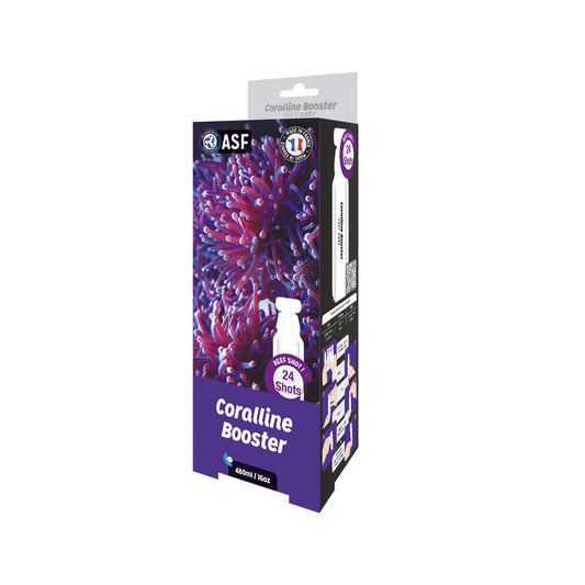 ASF Reef Shots Coraline Booster - 24 shots