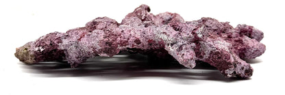 Tropic Eden Morroca Shelf Rock - Med - THREE Piece (3.7-4.2lbs each)