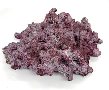 Tropic Eden Morroca Shelf Rock - Med - THREE Piece (3.7-4.2lbs each)