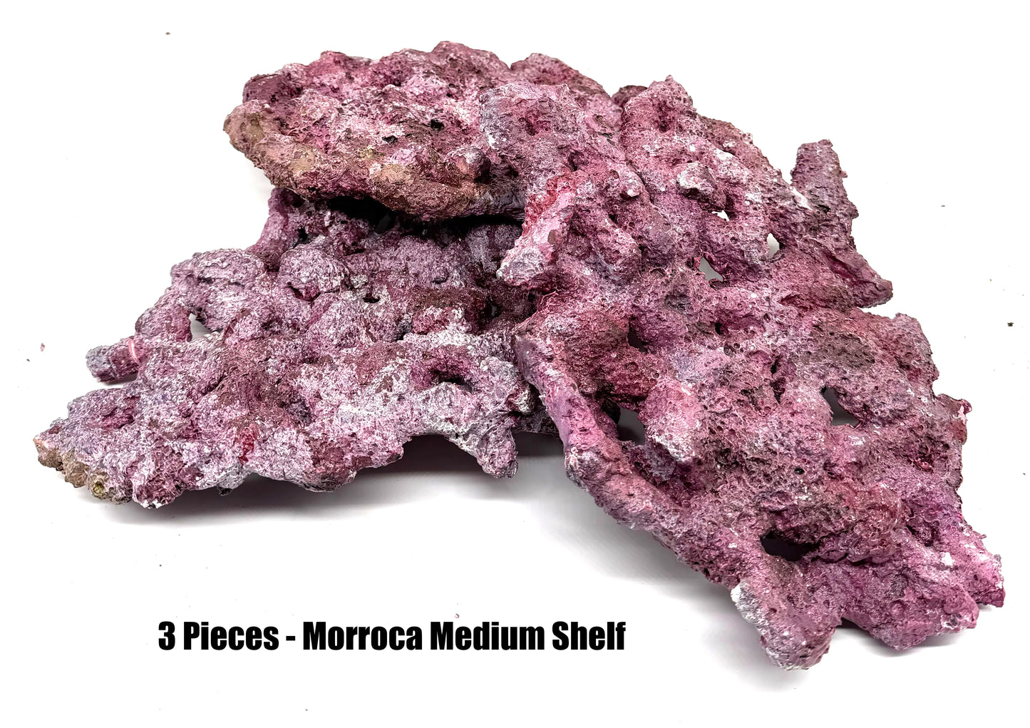 Tropic Eden Morroca Shelf Rock - Med - THREE Piece (3.7-4.2lbs each)