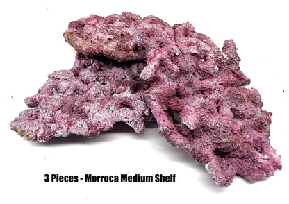 Tropic Eden Morroca Shelf Rock - Med - THREE Piece (3.7-4.2lbs each)
