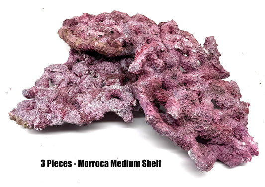 Tropic Eden Morroca Shelf Rock - Med - THREE Piece (3.7-4.2lbs each)