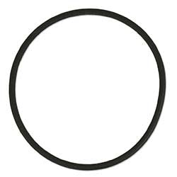 Two Little Fishies PhosBan Reactor 150 Replacement O-ring (1