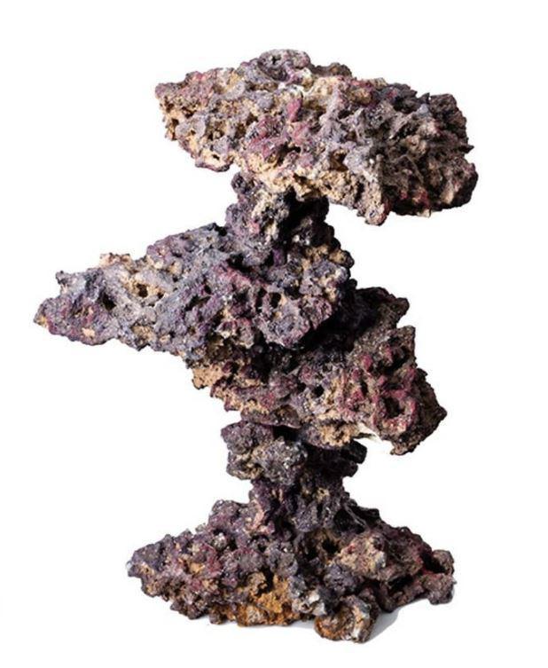 LifeRock Coral Tree (Shelves)