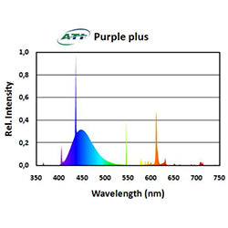 ATI 39W Purple Plus
