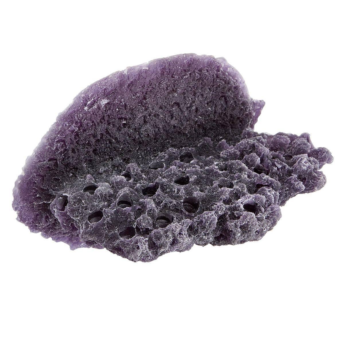 Reef Rax Purple Large Shelf - 20 holes