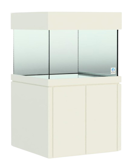 Elegance Stand