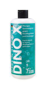 DINO X