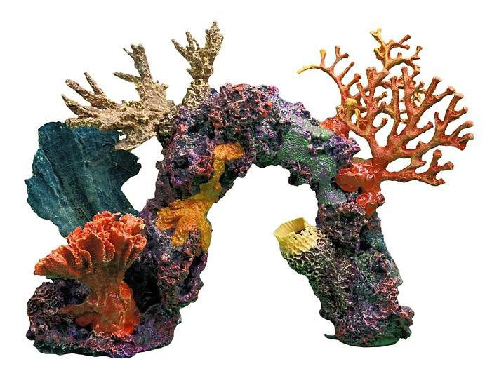 Tsunami Corals Artificial Reef Drop-Ins