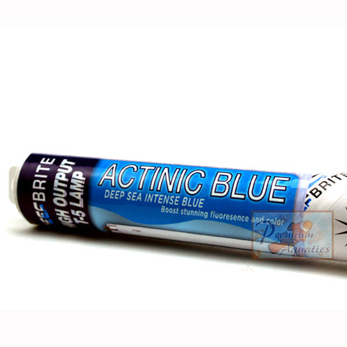 Reef Brite 24 Watt T5 HO Actinic