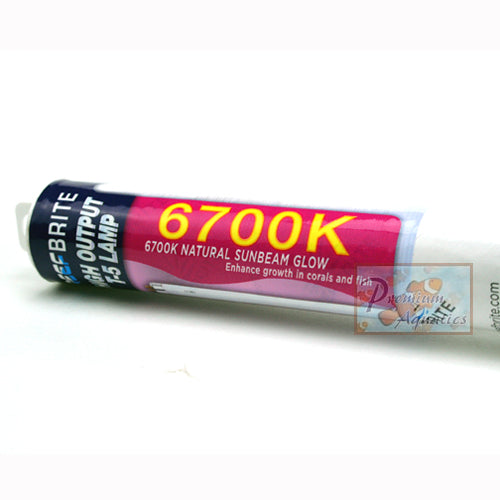 Reef Brite 39 Watt T5 HO 6700K