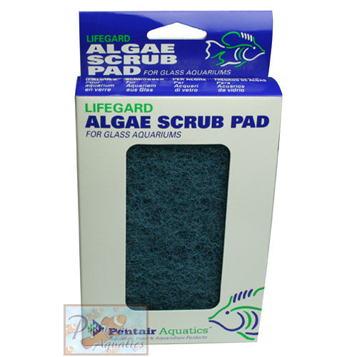 Lifegard 4" x 6" Blue Algae Pad for Glass Aquarium