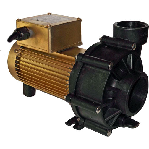 GOLD -  Dart/Snapper Hybrid