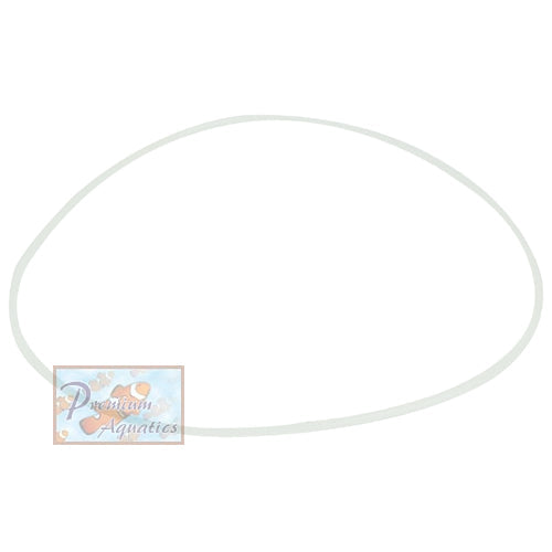 ASM Replacement G5 Body O-RING