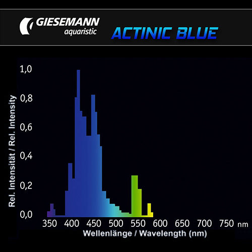 Giesemann Actinic Blue T5 39W