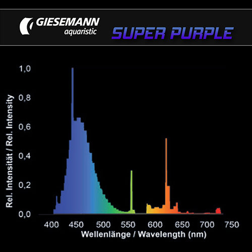 Giesemann Super Purple T5 80W