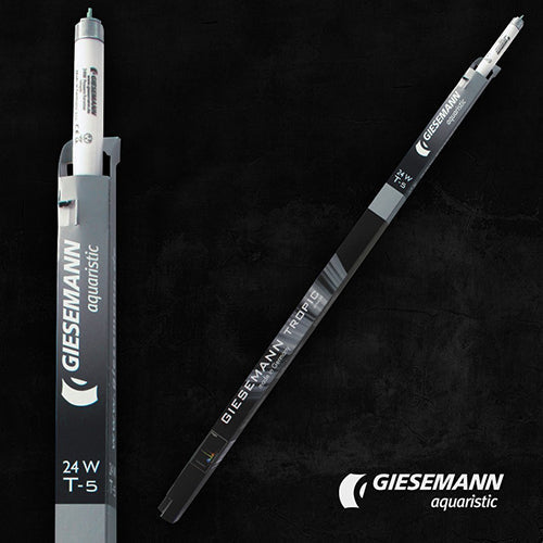 Giesemann Tropic T5 24w