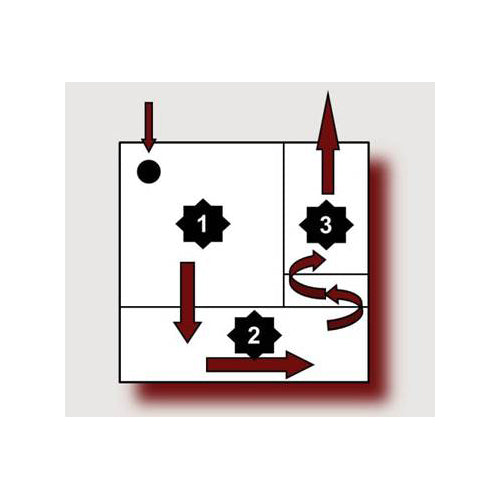 Trigger Systems Ruby Sump 20x20 cube