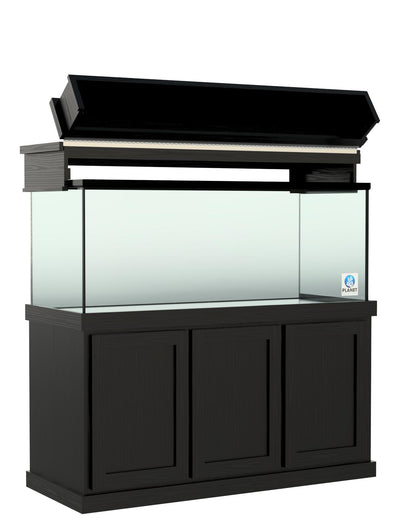 Classic Oak Canopy