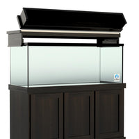 Classic Oak Canopy