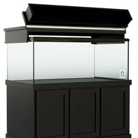 Classic Oak Canopy