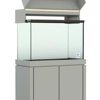 Elegance Maple Canopy