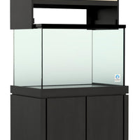 Elegance Maple Canopy