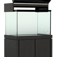 Elegance Maple Canopy