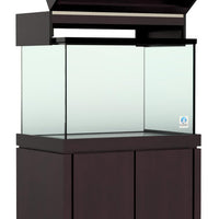 Elegance Maple Canopy