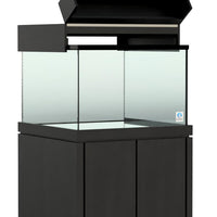 Elegance Maple Canopy