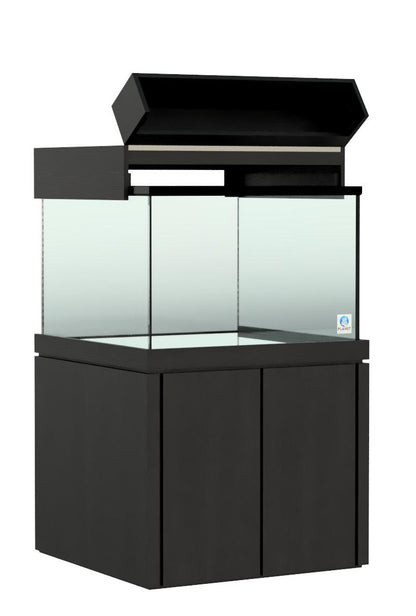 Elegance Maple Canopy