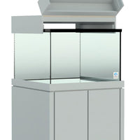 Elegance Maple Canopy