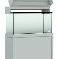 Elegance Maple Canopy