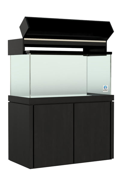 Elegance Maple Canopy