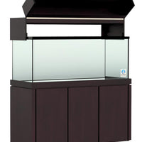 Elegance Maple Canopy